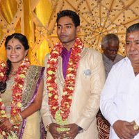 Actress Aparna Pillai Wedding Reception | Picture 43215